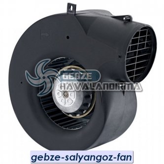Gebze Salyangoz Fan