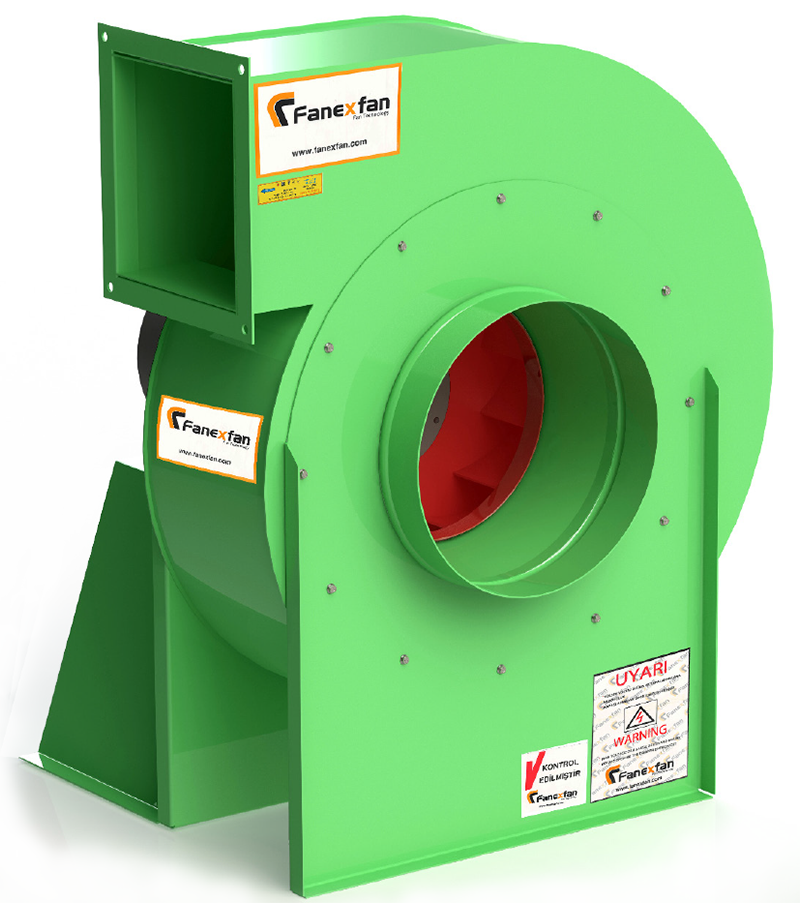 Salyangoz Radyal Fanlar